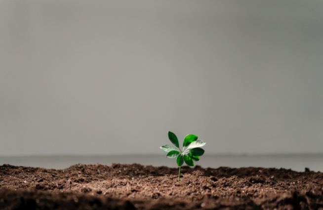 土壤肥料養分速測儀使用方法